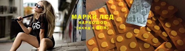 PSILOCYBIN Алексеевка