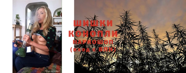 PSILOCYBIN Алексеевка