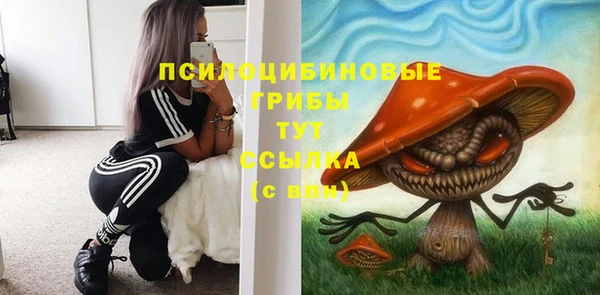 эйфоретик Алзамай